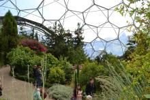 The Eden Project