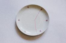 Cracked plate, with the crack fixed in pink. Image credit: Fernando Lavin