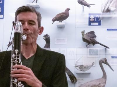 Dr Alex South: a man playing a clarinet in front of a museum case filled with taxidermied birds