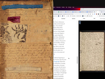 New Perspectives on "The Lyon in Mourning"