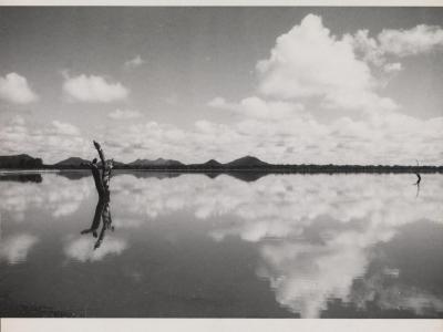Gelatin print showing a tree jutting up from the surface of a lake with mountains in the background