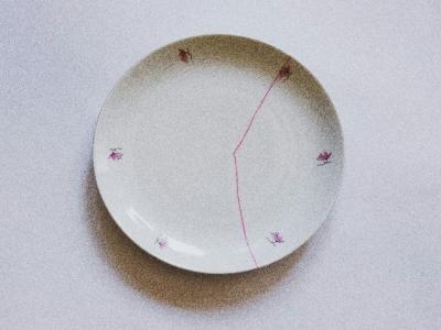 Cracked plate, with the crack fixed in pink. Image credit: Fernando Lavin