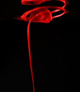Menstrual blood, artwork title "The Ribbon Rose". Beauty in Blood: https://wellcomecollection.org/works/dhxtqjzt. Attribution 4.0 International (CC BY 4.0).