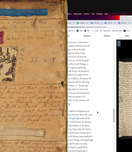 New Perspectives on "The Lyon in Mourning"