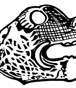 Northern Scholars