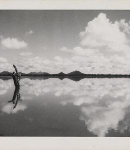 Gelatin print showing a tree jutting up from the surface of a lake with mountains in the background