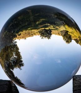 Glass globe reflecting a field behind