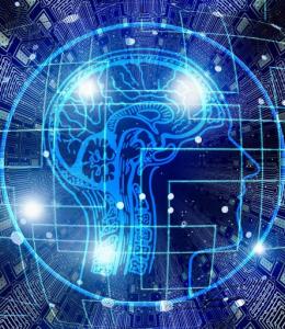 Imagining Artificial Life
